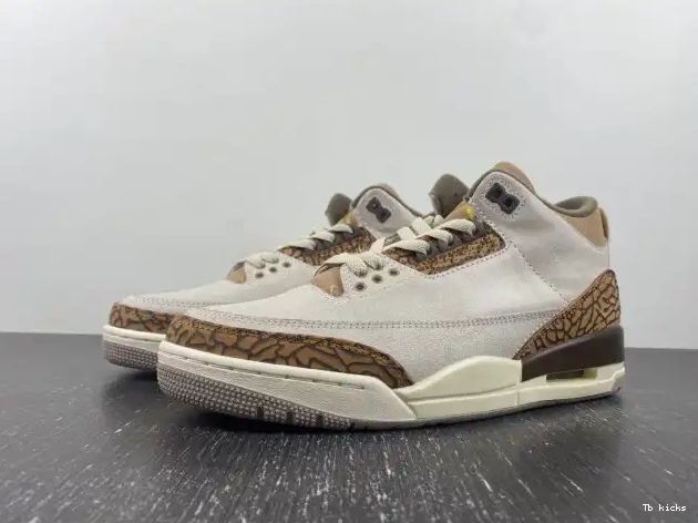 TBK Palomino Jordan 3 CT8532-102 Air 0429